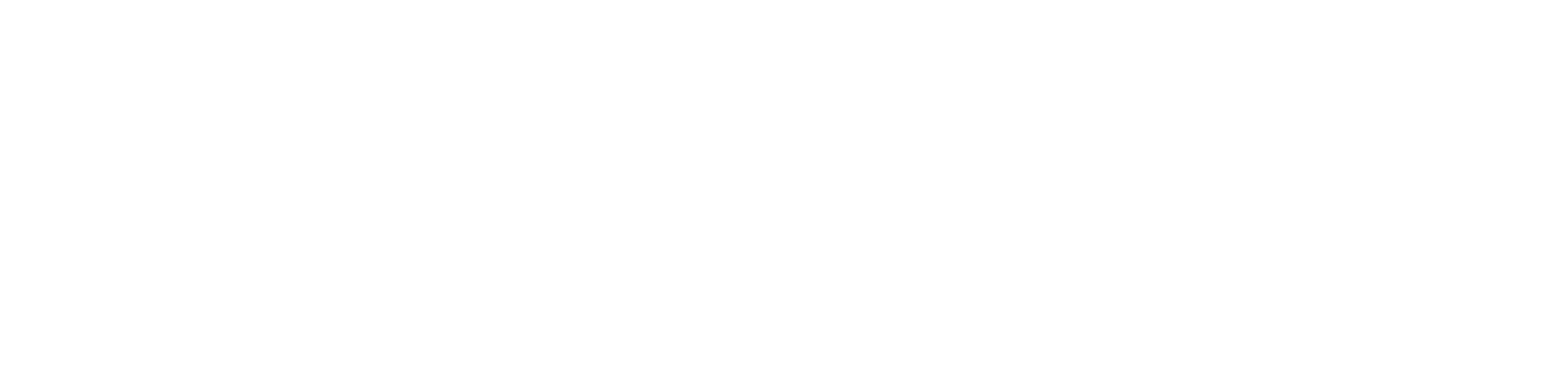 Dust_Logo_white
